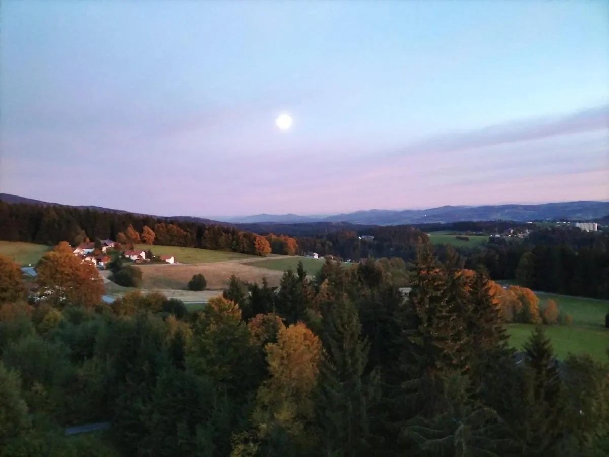 Ferienwohnung Panorama Bayerwald Neureichenau 0*,  Deutschland
