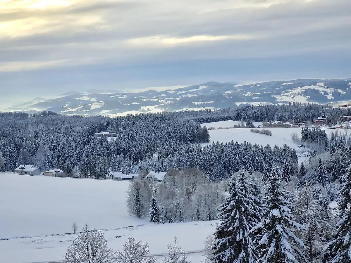 Apartment Ferienwohnung Panorama Bayerwald Neureichenau Deutschland