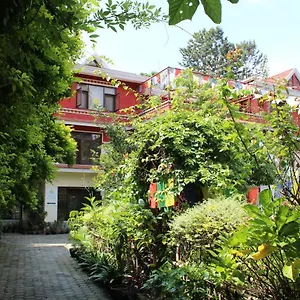https://rokpa-guest-house.hotels-kathmandu.com
